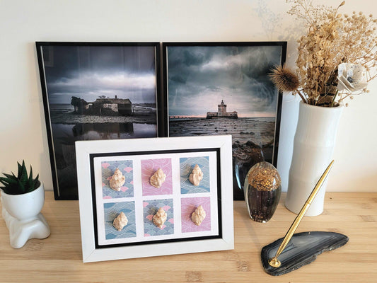 Tableaux en coquillages – Collection Vent Bleu et Rose, pour une décoration murale élégante et artisanale, faits main en France.