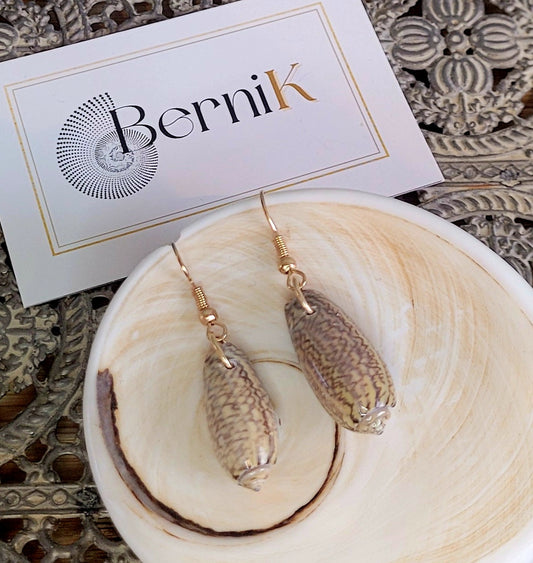 Boucles d'oreilles minimalistes en coquillages longs brillants aux tons gris et marron, montées sur crochets dorés.
