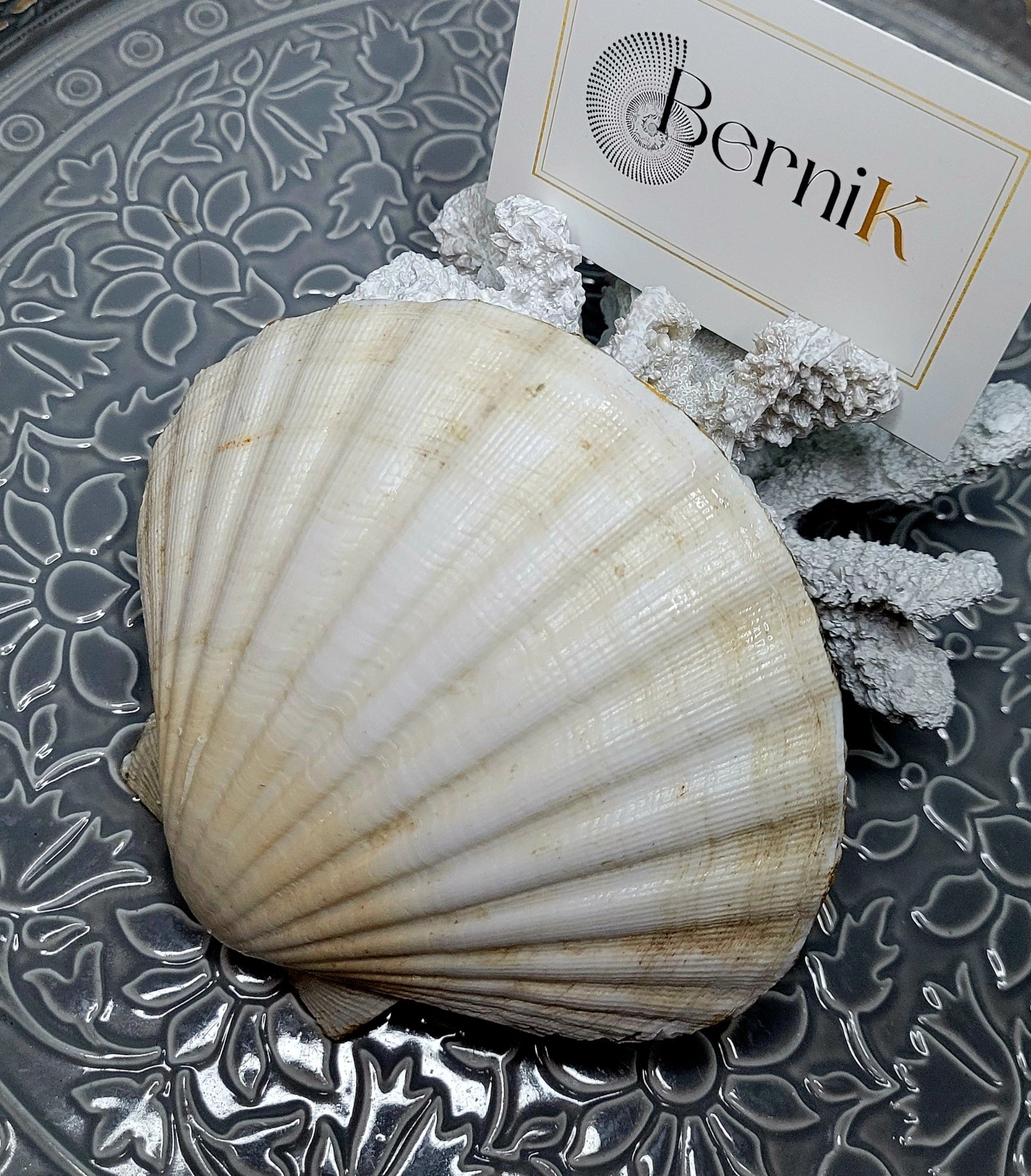 Coquille bretonne raffinée avec illustration de La Vague et finitions dorées.